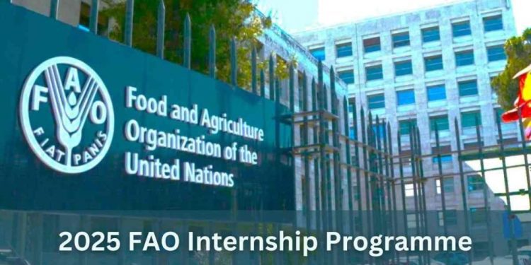 FAO paid internship 2025